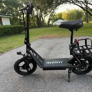 Electric scooter daily commute