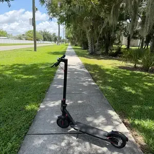 Folding electric scooter