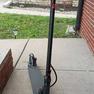 Electric scooter motor