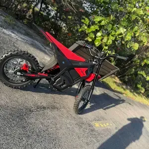 Electric dirt bike hydraulic brakes