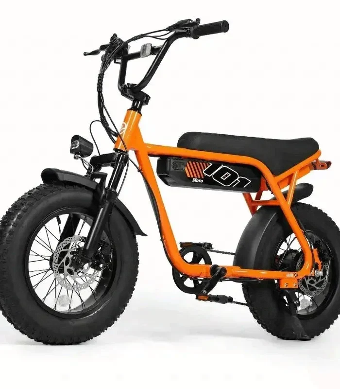 V101 Ebike