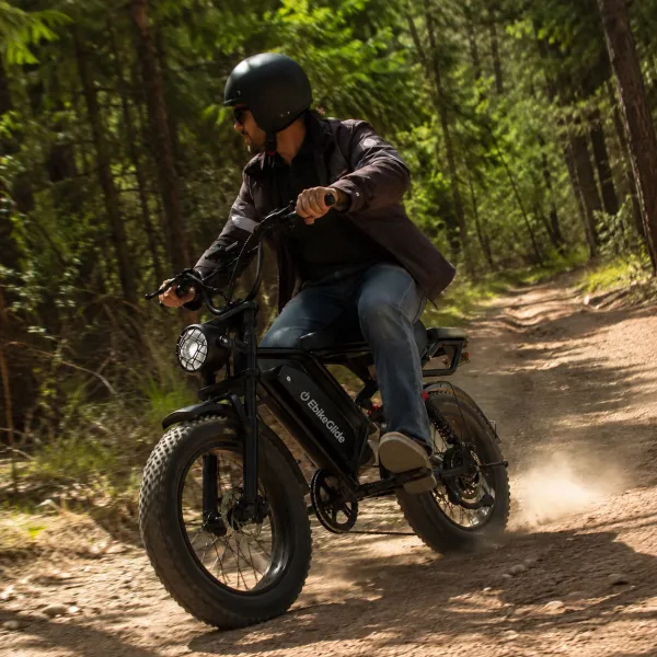 Riding long distance on the e-bike